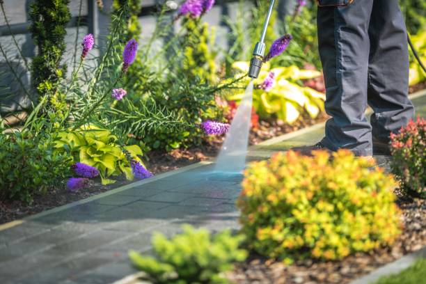 Best Sidewalk and Walkway Cleaning  in South Greeley, WY