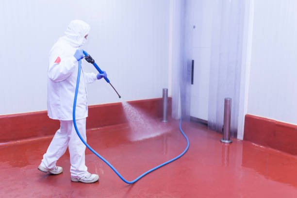 Best Winterizing Services  in South Greeley, WY